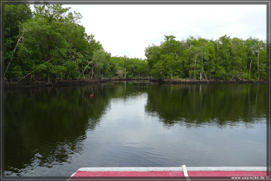 Airboat_2024_007