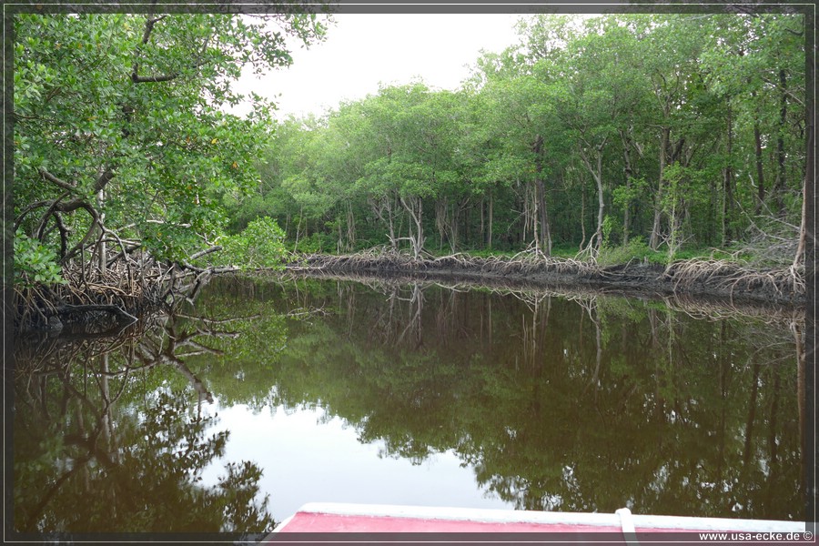 Airboat_2024_008