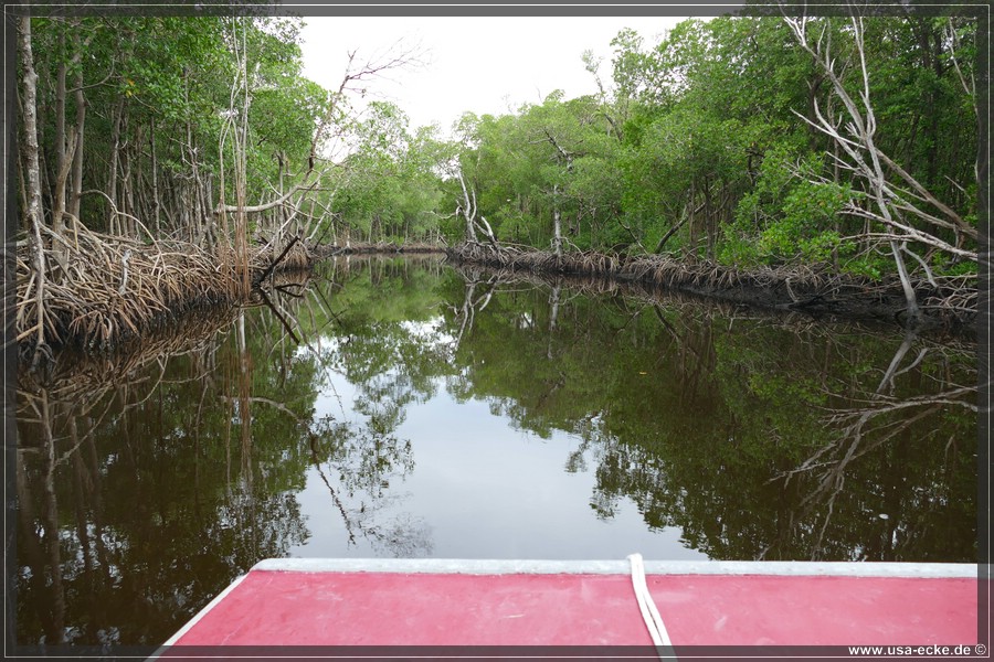 Airboat_2024_009