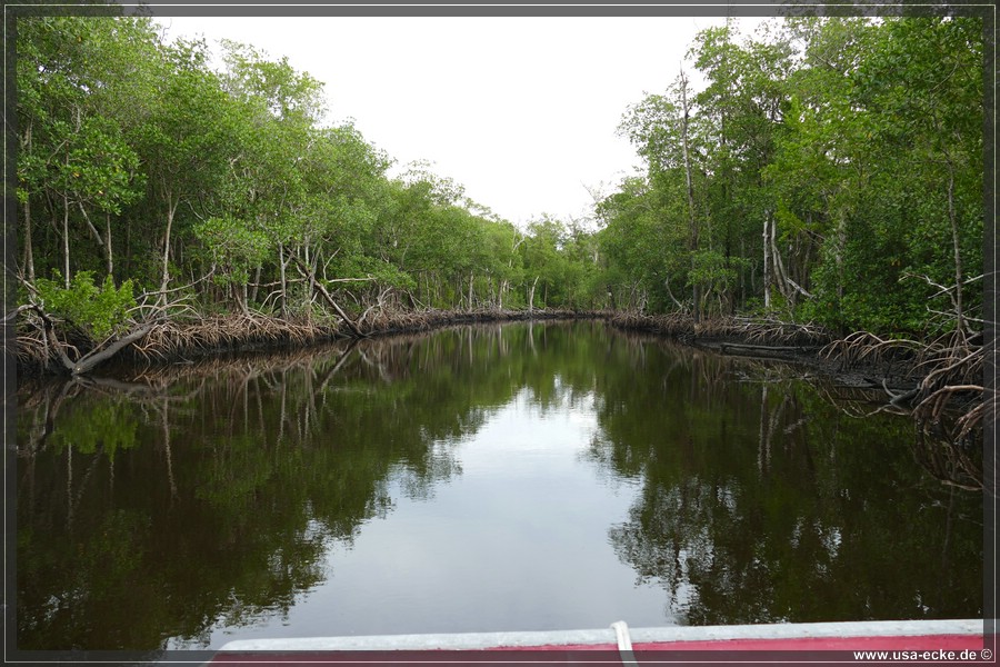 Airboat_2024_010