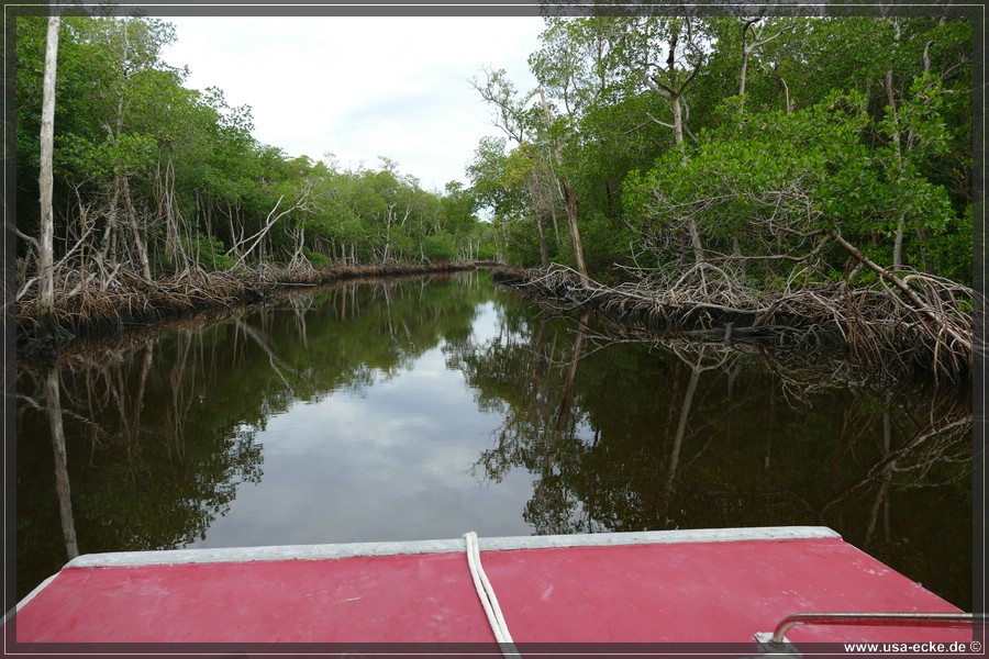 Airboat_2024_011
