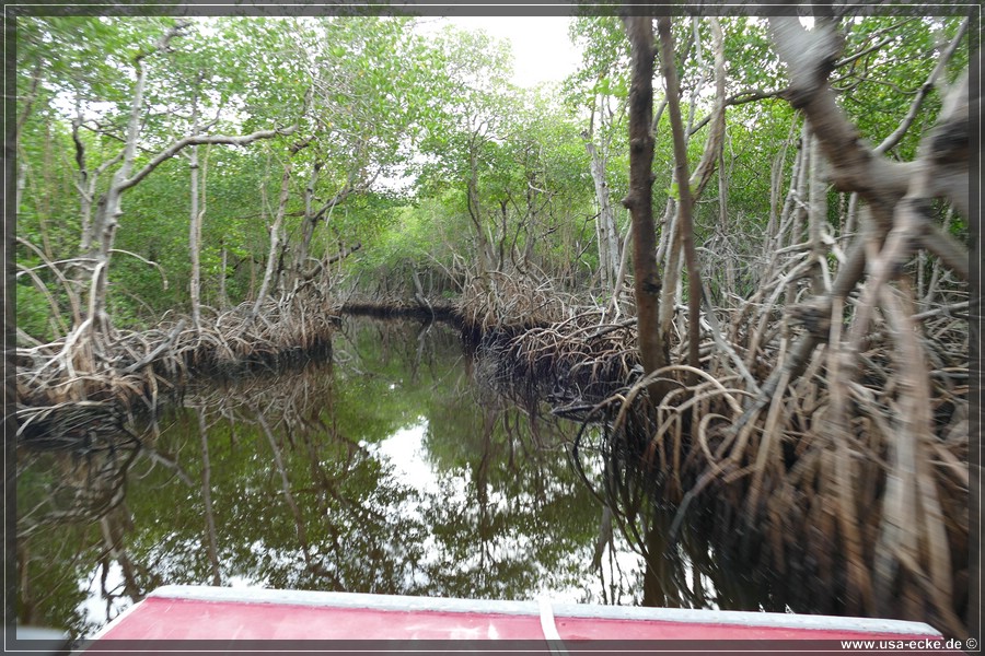 Airboat_2024_012