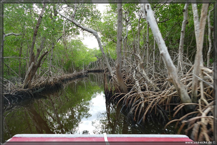 Airboat_2024_013