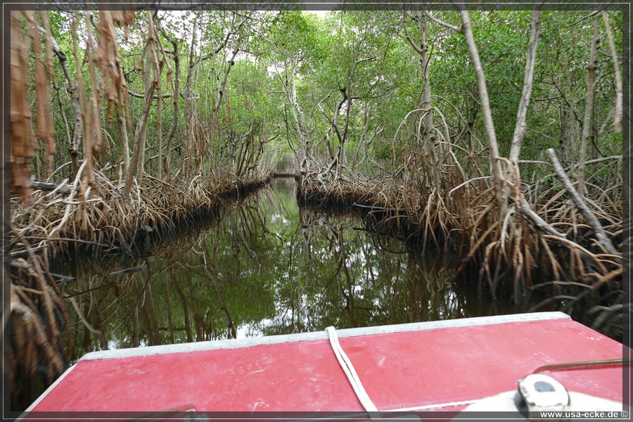 Airboat_2024_014
