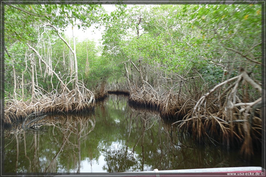 Airboat_2024_015