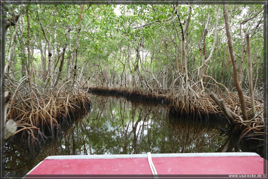 Airboat_2024_016