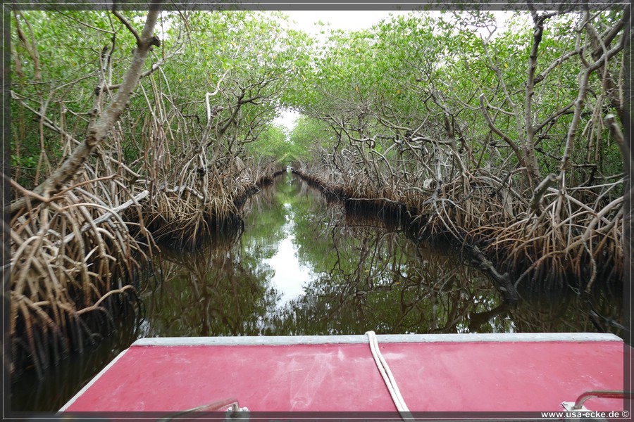 Airboat_2024_017