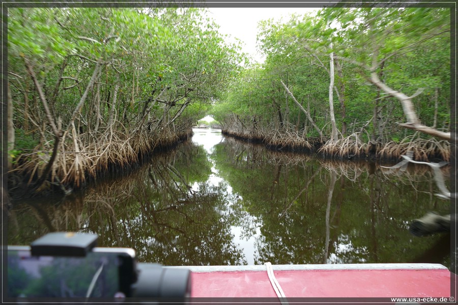 Airboat_2024_018