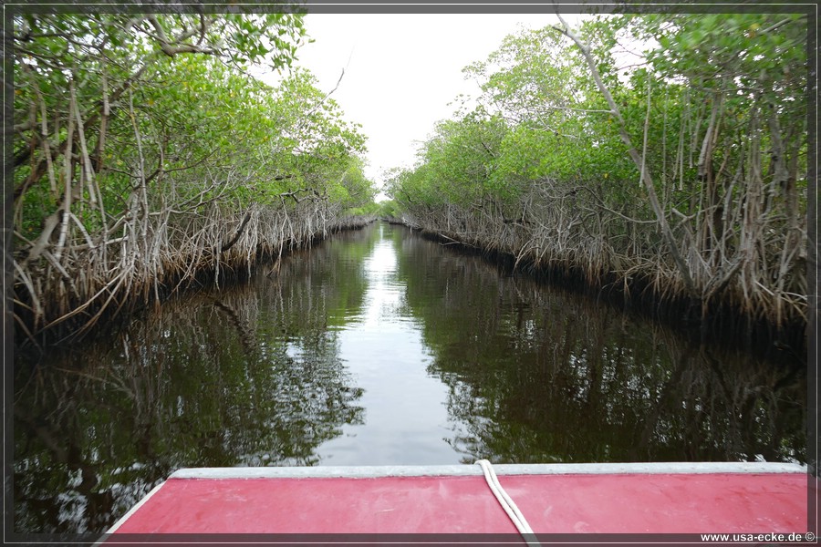 Airboat_2024_019
