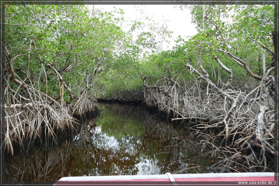 Airboat_2024_020