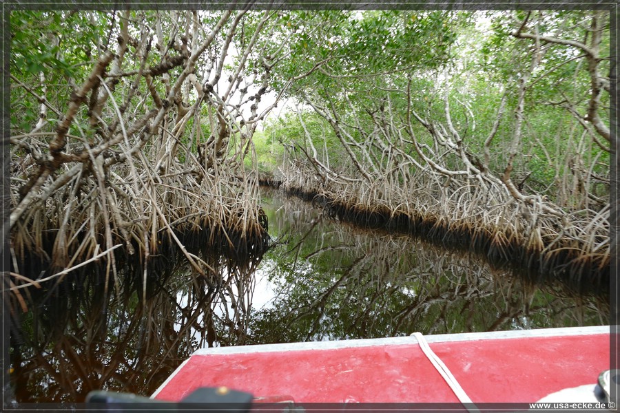 Airboat_2024_021
