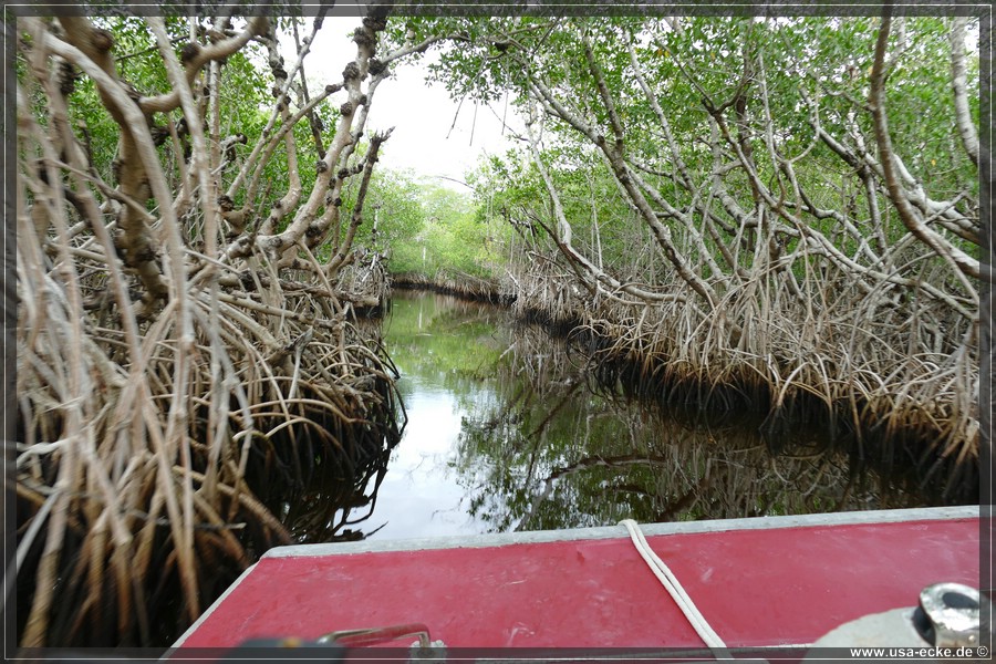 Airboat_2024_022