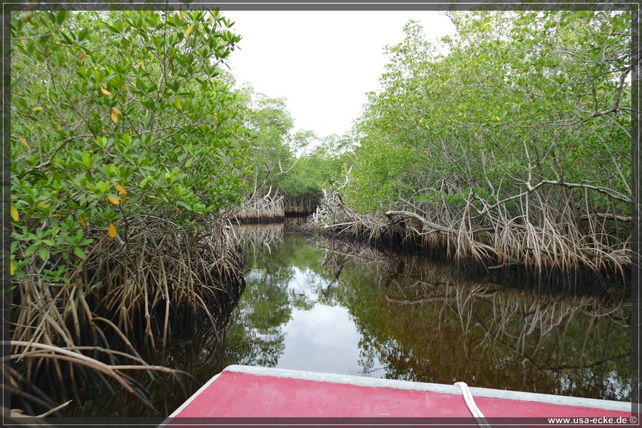 Airboat_2024_023