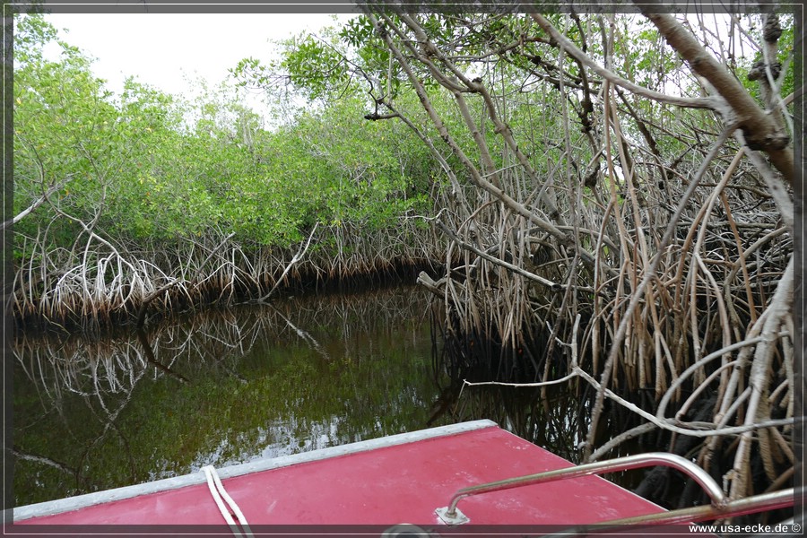 Airboat_2024_024