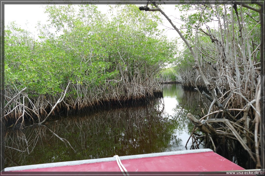 Airboat_2024_025