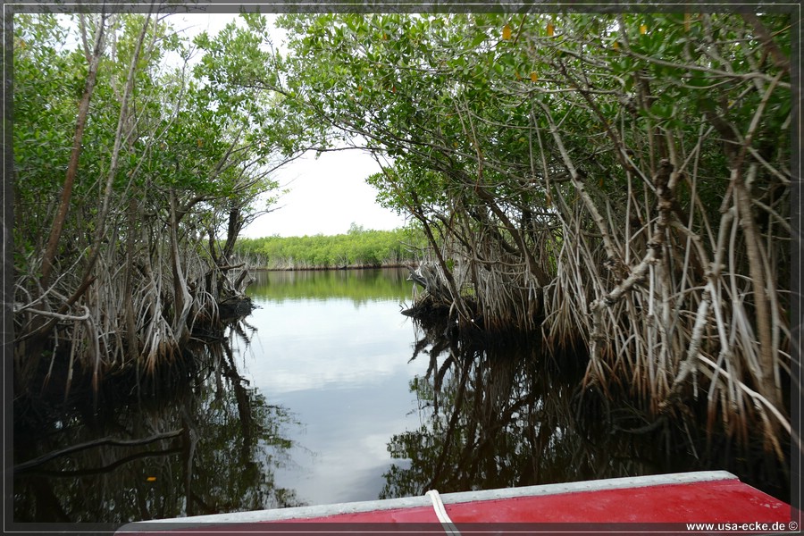 Airboat_2024_026