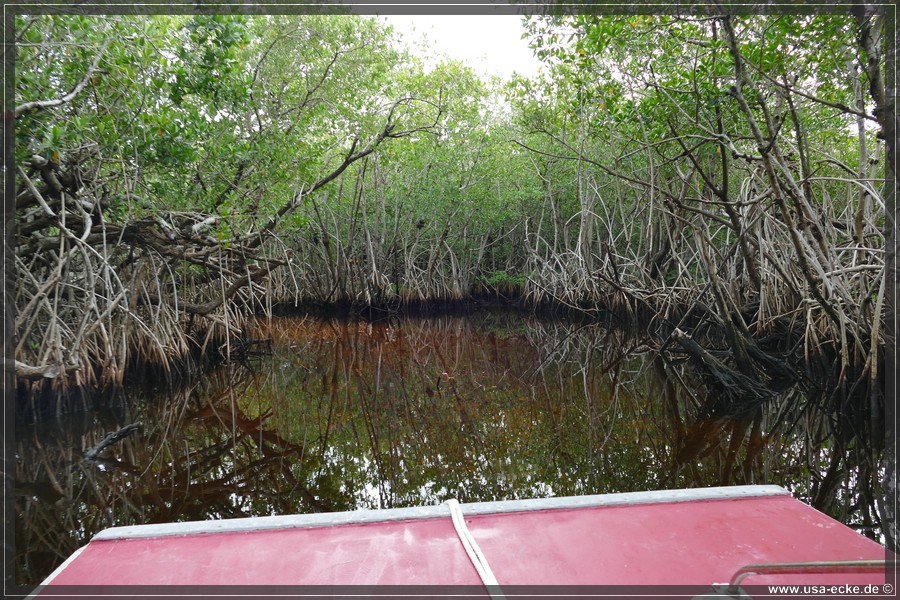 Airboat_2024_027