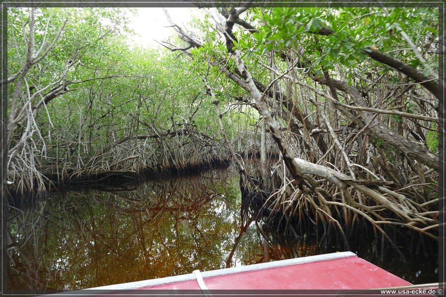 Airboat_2024_028
