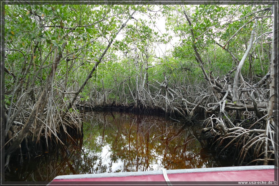 Airboat_2024_029