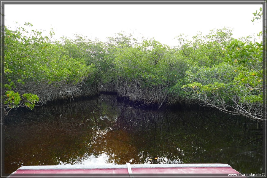 Airboat_2024_030