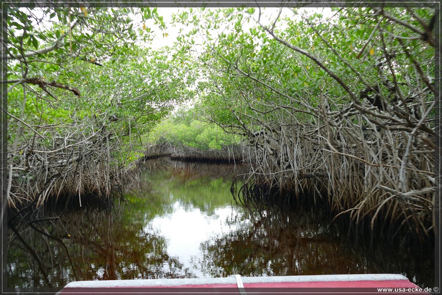 Airboat_2024_031