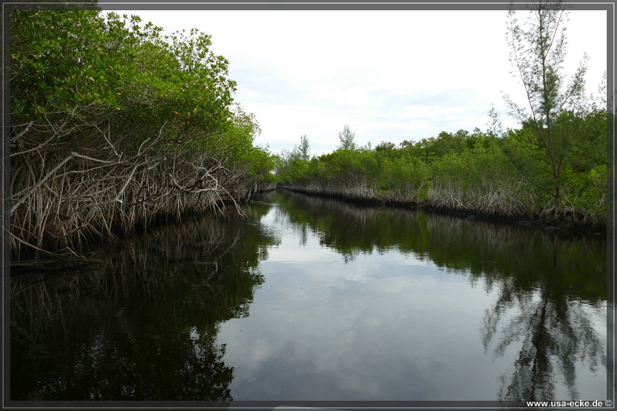 Airboat_2024_032