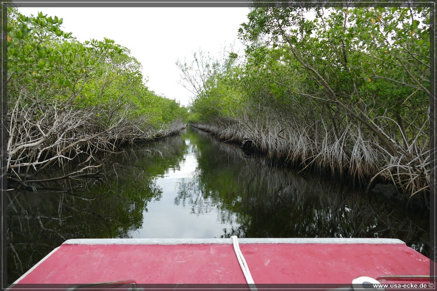 Airboat_2024_033