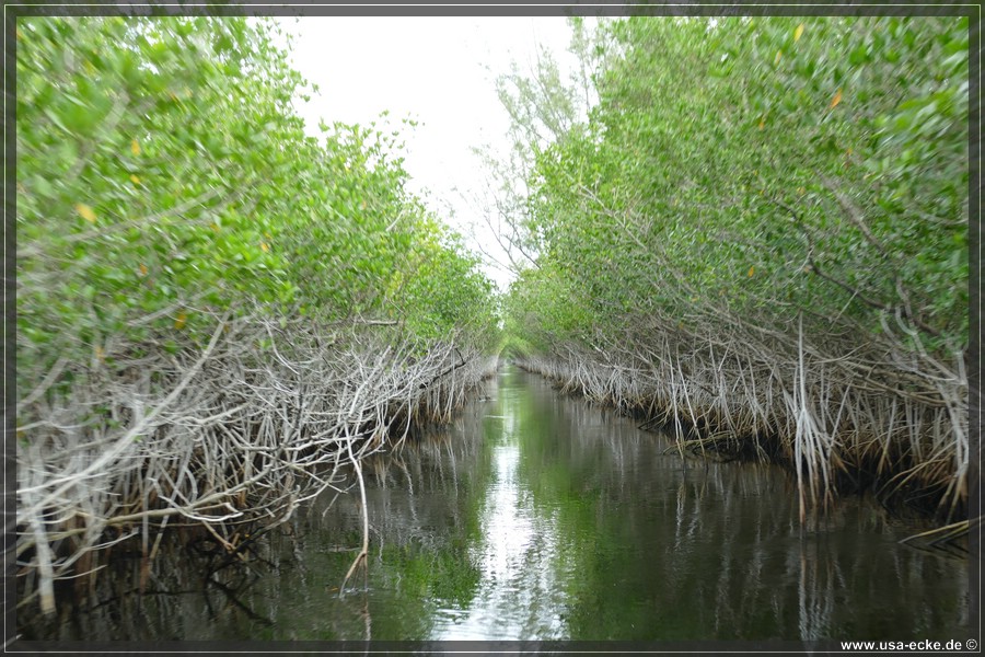 Airboat_2024_034
