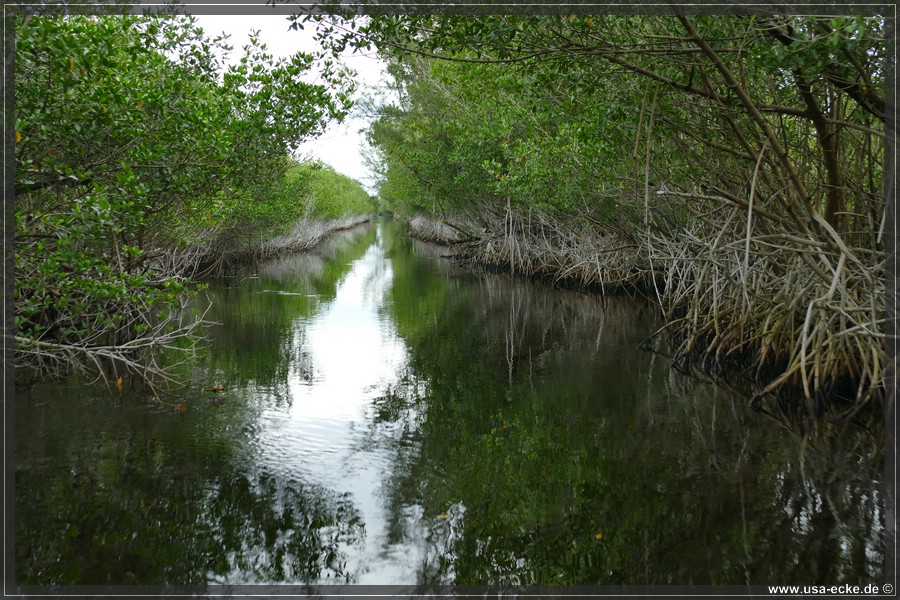 Airboat_2024_035