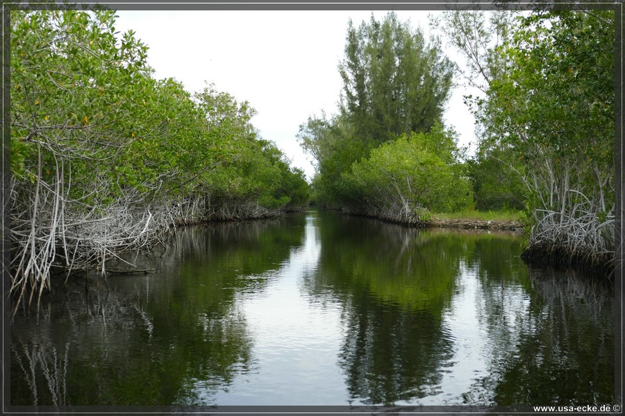 Airboat_2024_036