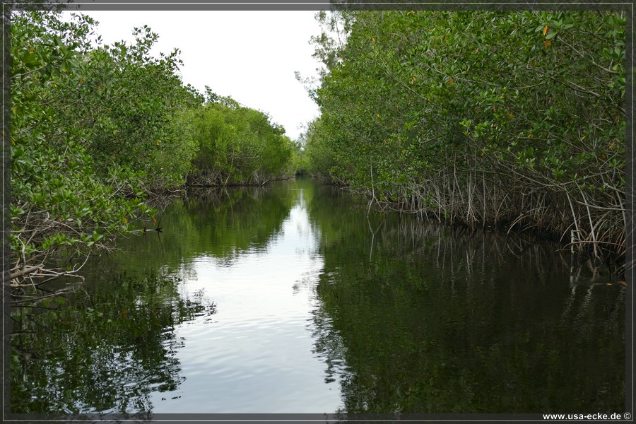 Airboat_2024_037