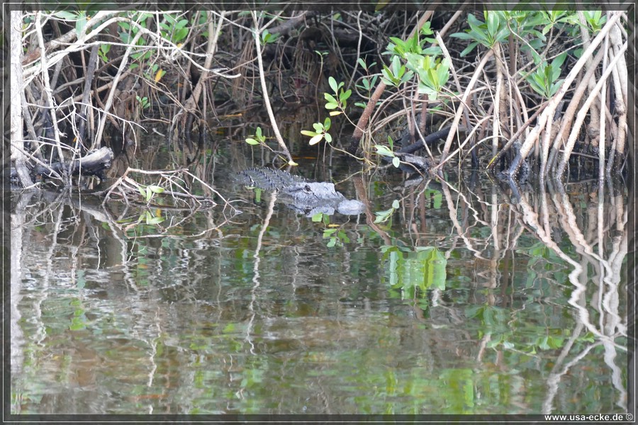 Airboat_2024_040