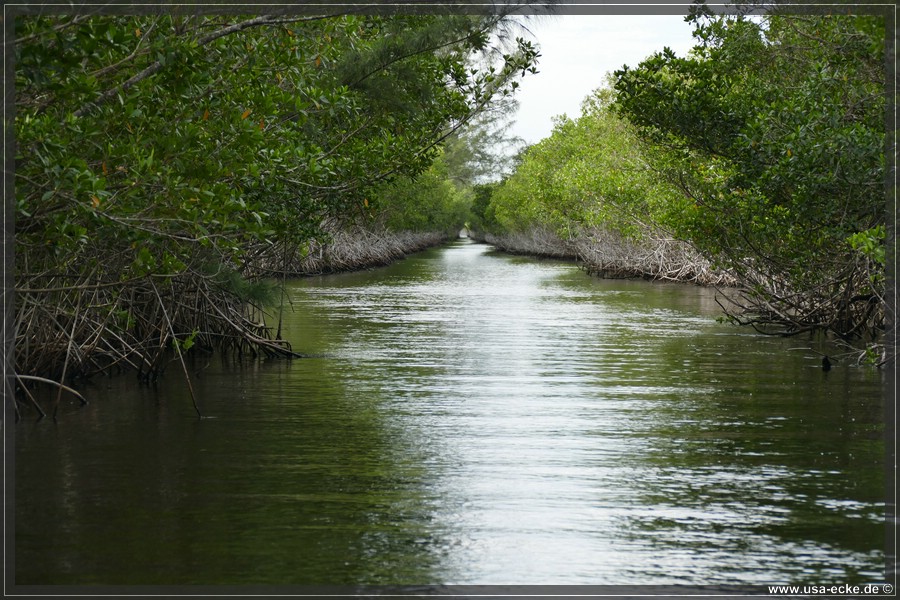 Airboat_2024_041