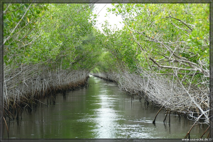 Airboat_2024_042