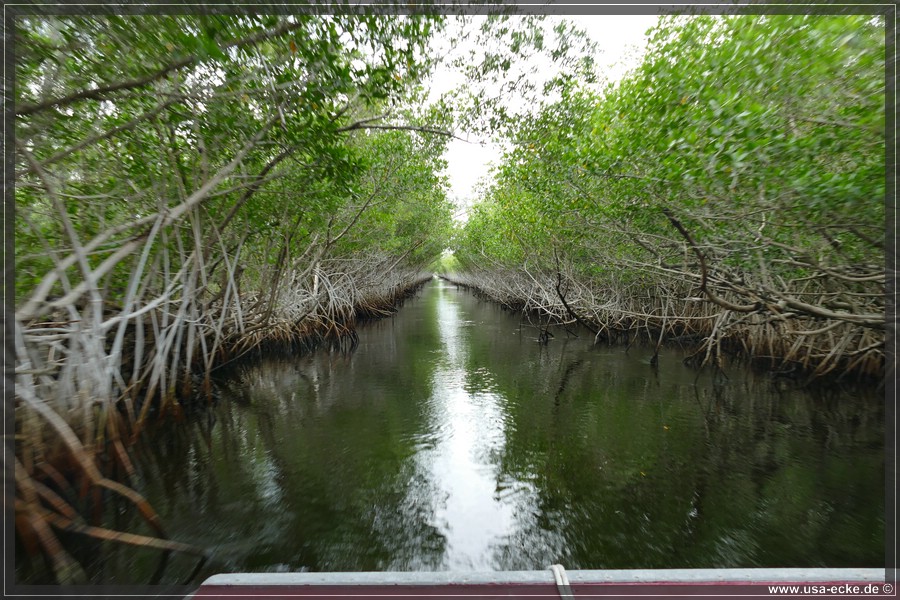 Airboat_2024_043