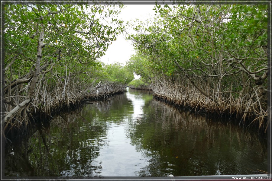 Airboat_2024_044