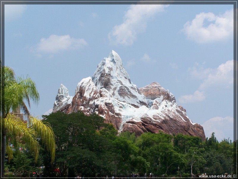 animal_kingdom_09_12_010