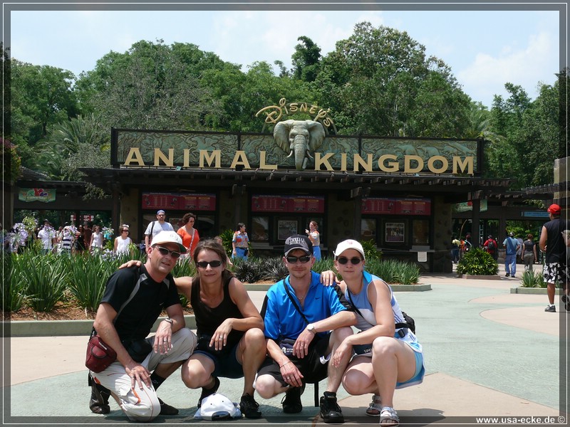 animal_kingdom_09_12_015