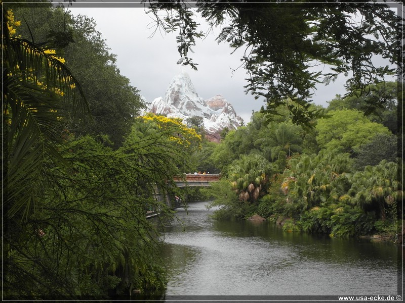 animal_kingdom_09_12_028