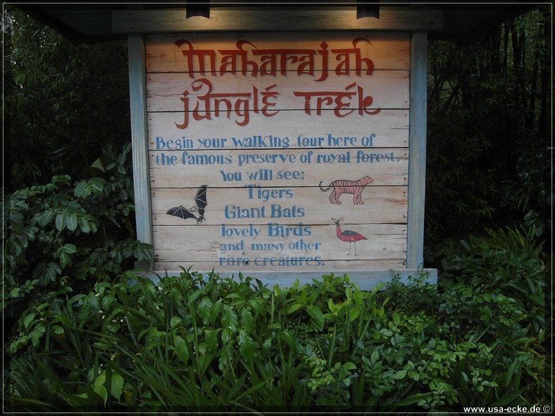 animal_kingdom_09_12_034