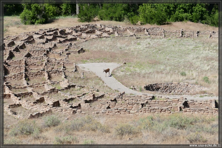 bandelier_012