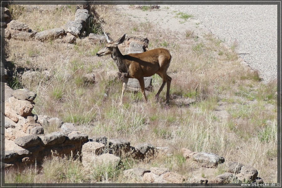 bandelier_013