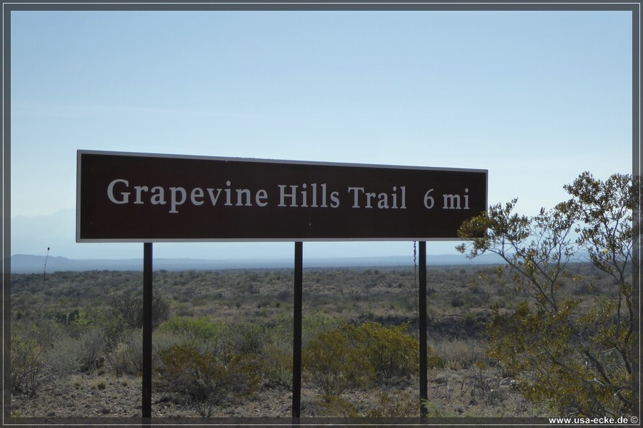 grapevine_002