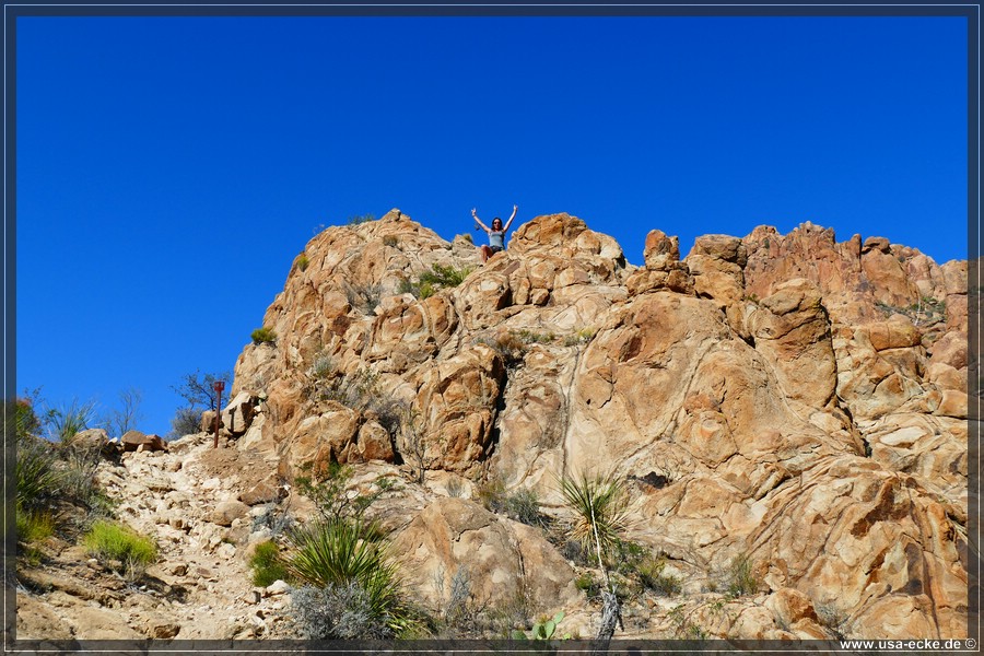 grapevine_027