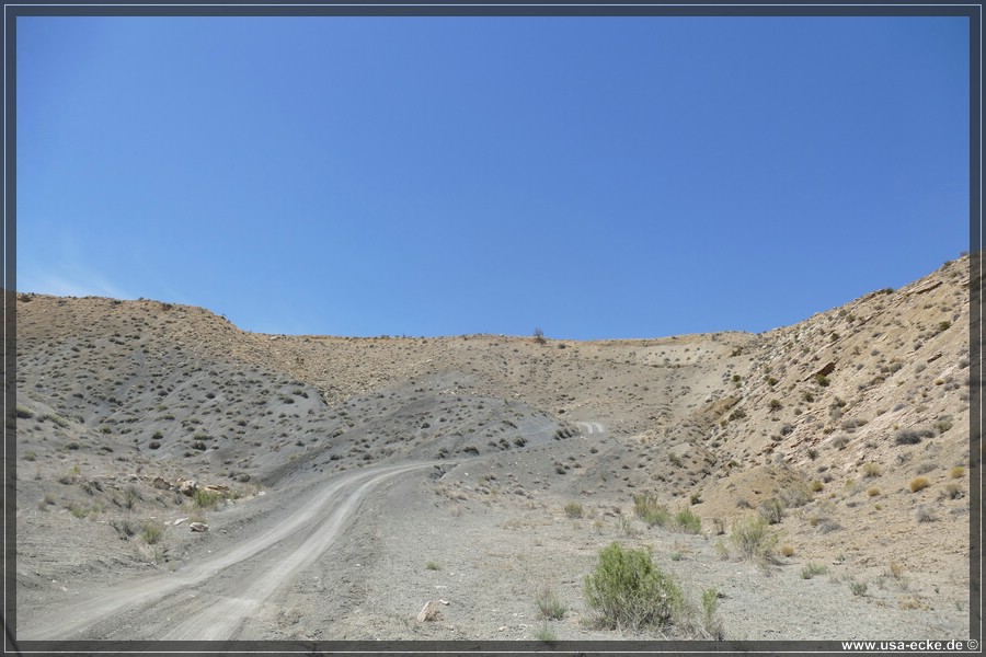 Brigham_Plains_2025_001