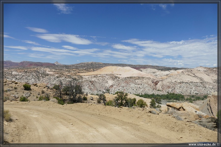Brigham_Plains_2025_008