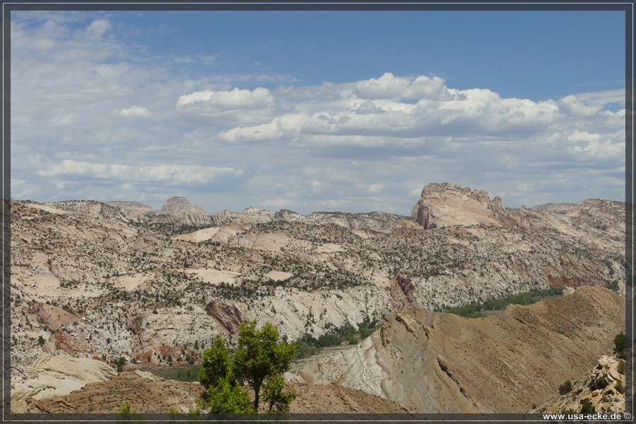 Brigham_Plains_2025_010