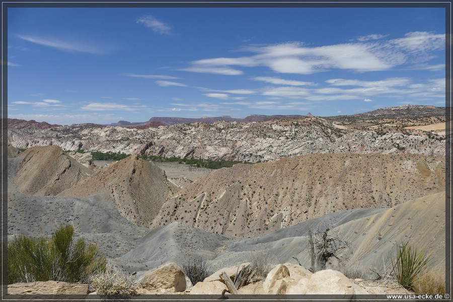 Brigham_Plains_2025_019