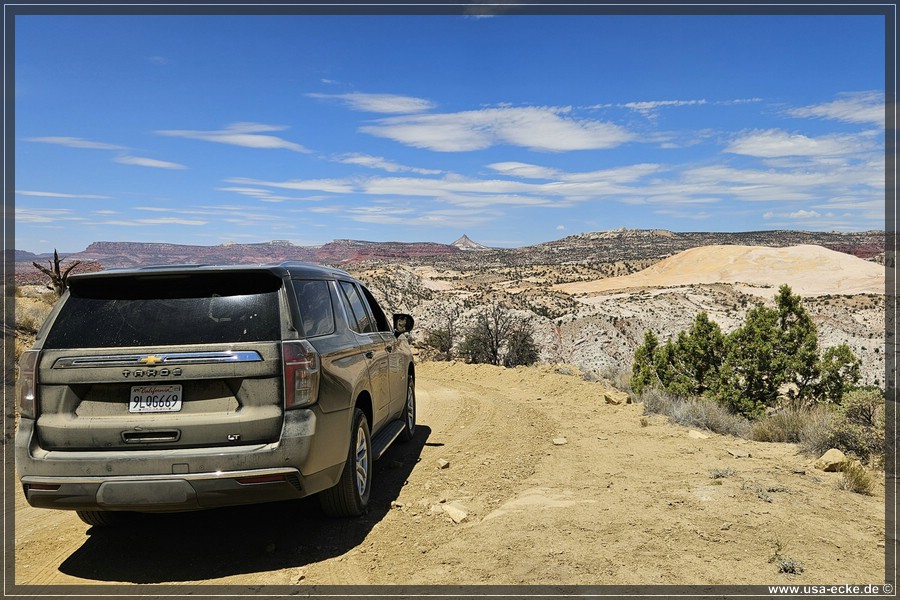 Brigham_Plains_2025_020