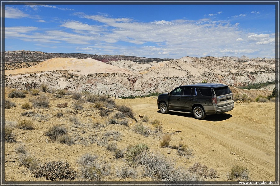 Brigham_Plains_2025_021